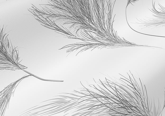 Cypress Drift (Blackout), Sway - Roller Blind - Image 4